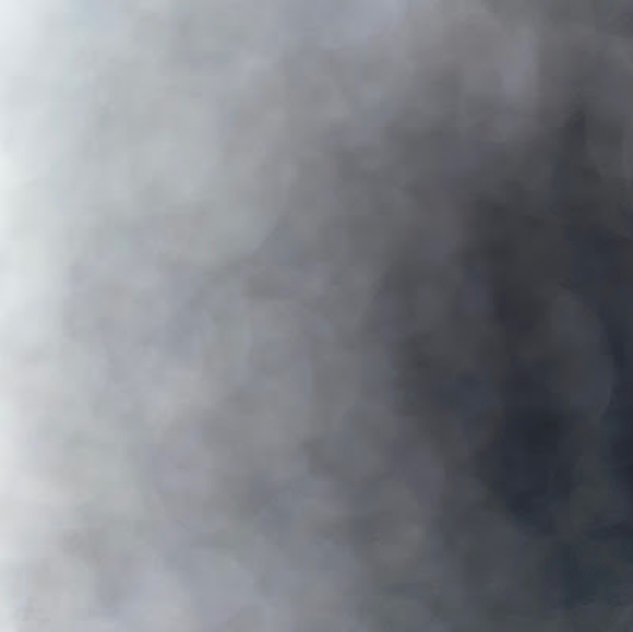 Meet your Posher, Sara - Picture 1 of 1